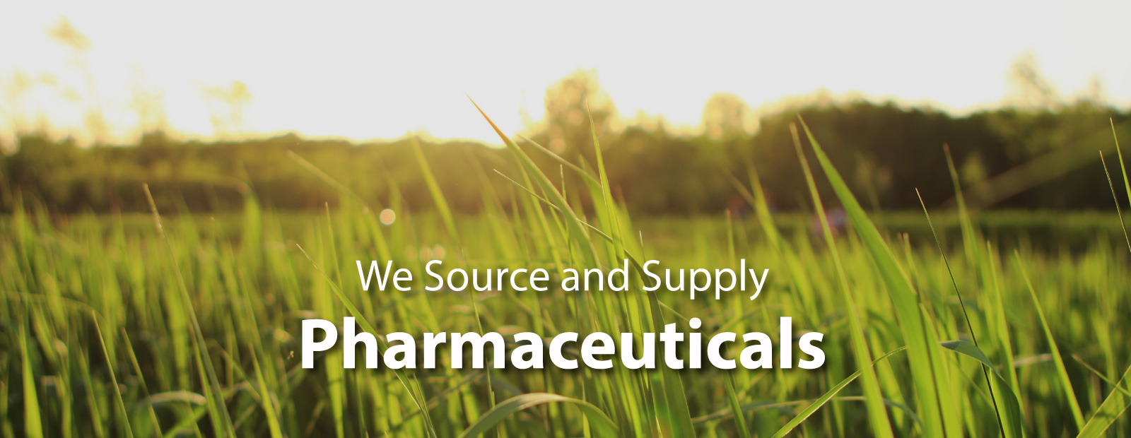 pharmaceutical wholesaler